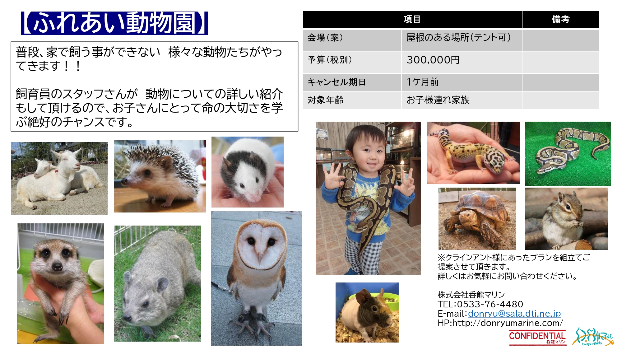 呑龍マリン プラン一覧